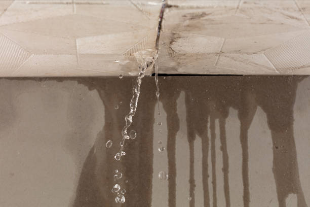 Professional Structural Drying technician working in Shiocton, WI